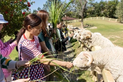 จัดทัวร์ท่องเที่ยวประจำปี ACIS OUTING@KHAOYAI 2023